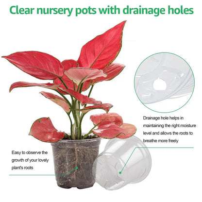 30 Sets Plant Nursery Pots with Humidity Domes, 4 Inch Clear Nursery Pots (30 Pots + 30 Clear Lids), Seed Starter Pots Small Pla