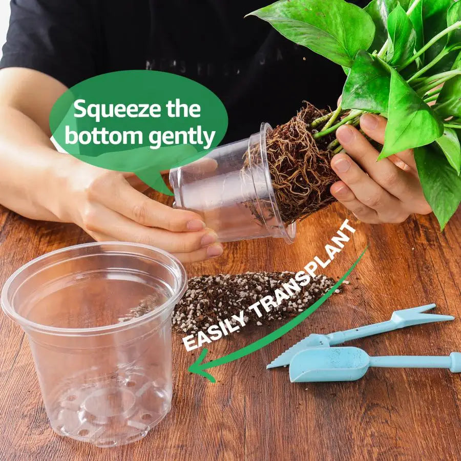 30 Sets Plant Nursery Pots with Humidity Domes, 4 Inch Clear Nursery Pots (30 Pots + 30 Clear Lids), Seed Starter Pots Small Pla